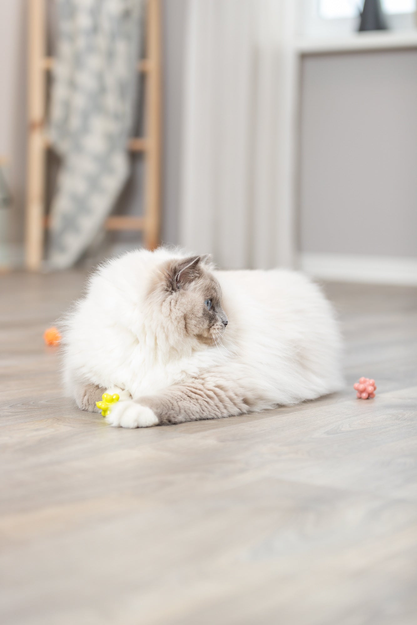 Trixie | Rubber Balls with Bumps | 3.5 cm | Pack of 4