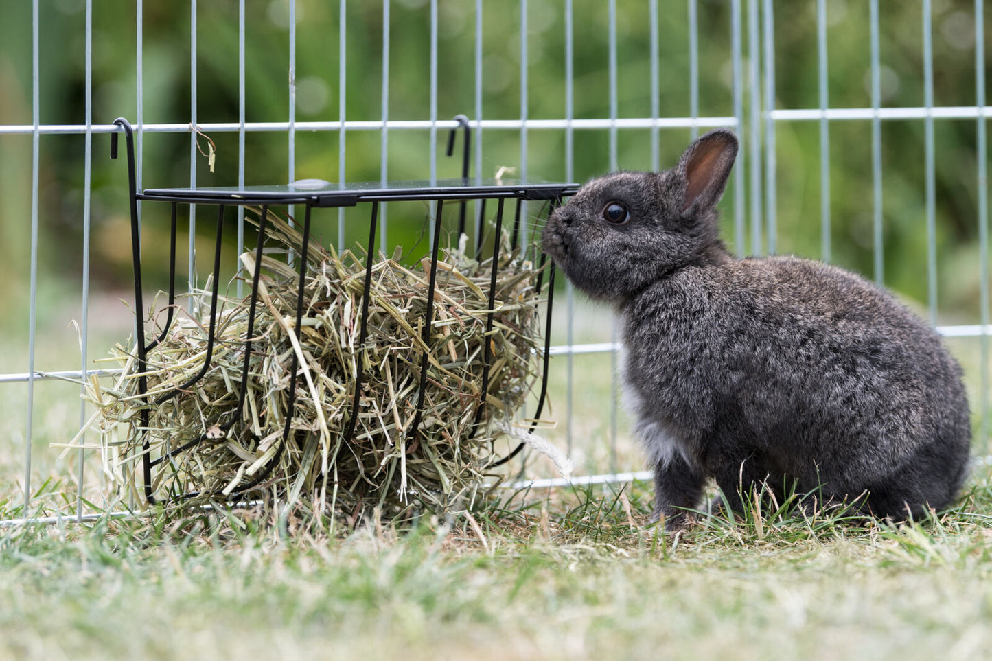 Trixie | Small Pet Feeding | Metal Hanging Hay Manger & Forage Feeder