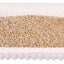 Cat grass in a white container on a white background