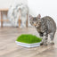 Trixie | Natural Kitten Enrichment | Italian Rye Grass Refill - 100g