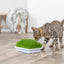 Trixie | Natural Kitten Enrichment | Italian Rye Grass Refill - 100g