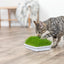 Cat eating grass from a small tray on a wooden floor