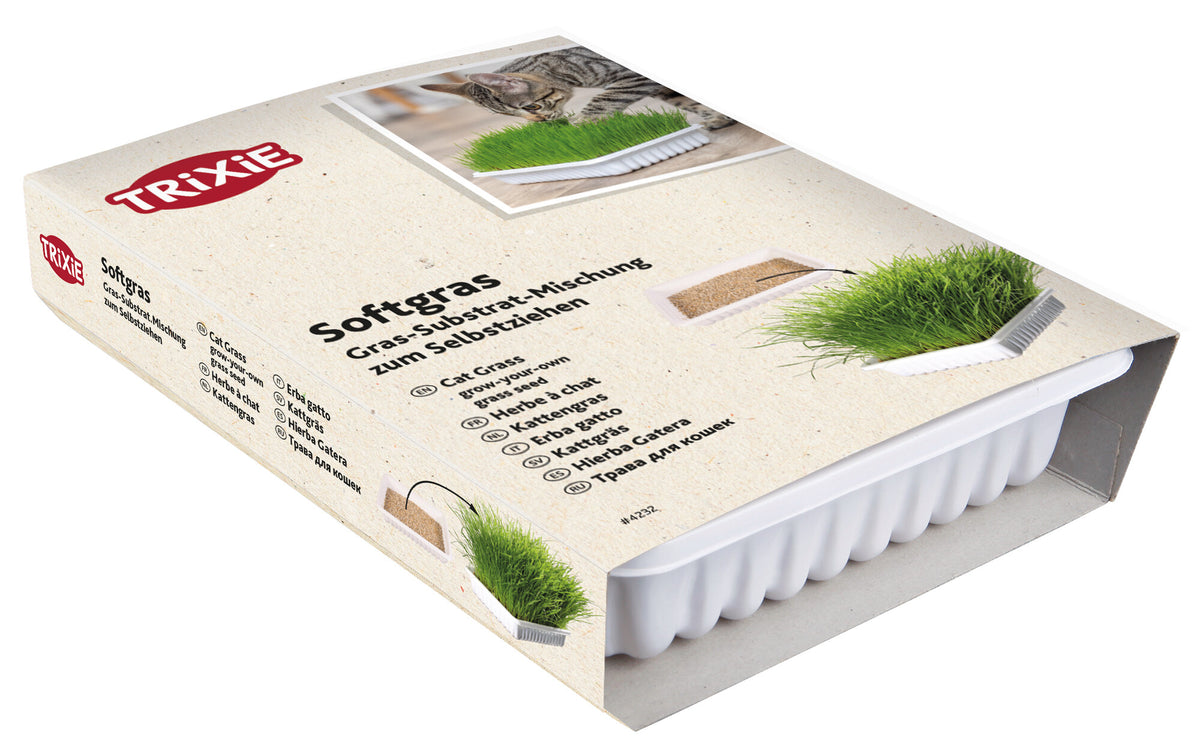 Trixie | Natural Kitten Enrichment | Italian Rye Grass Refill - 100g