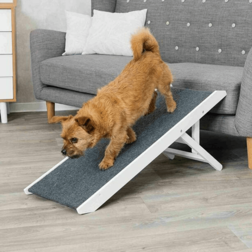 Trixie Adjustable in Height Ramp
