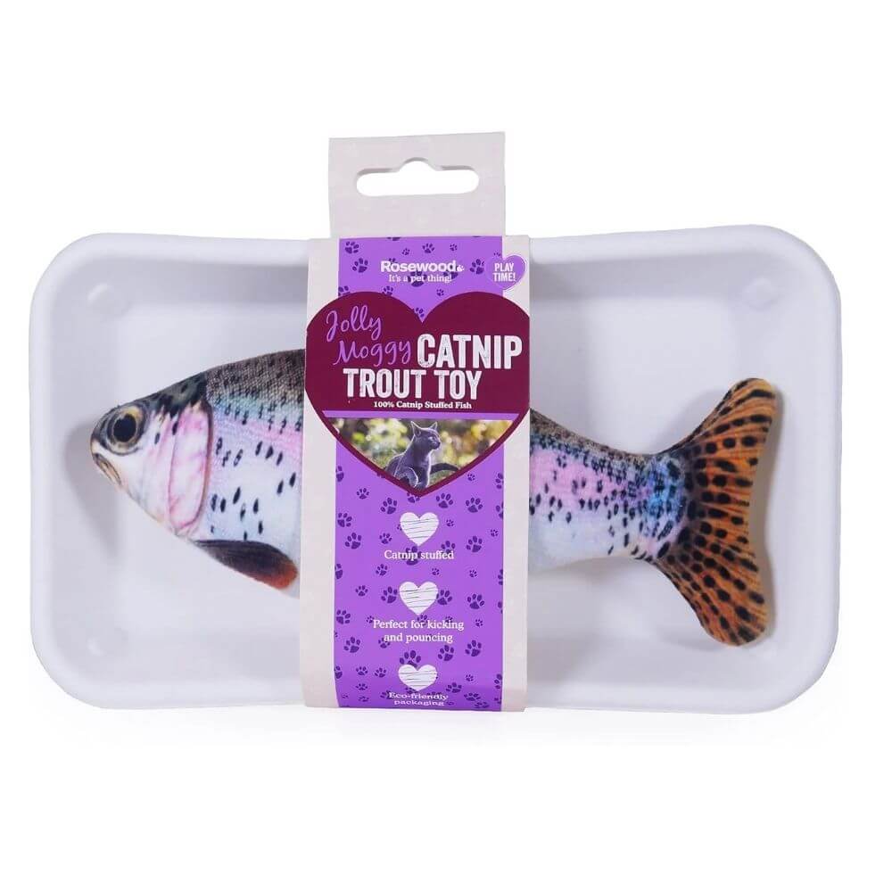 Catnip Fish Trout 20cm