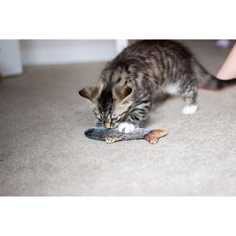 Catnip Fish Trout 20cm