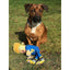 Donald Trump Dog Toy Large 17"