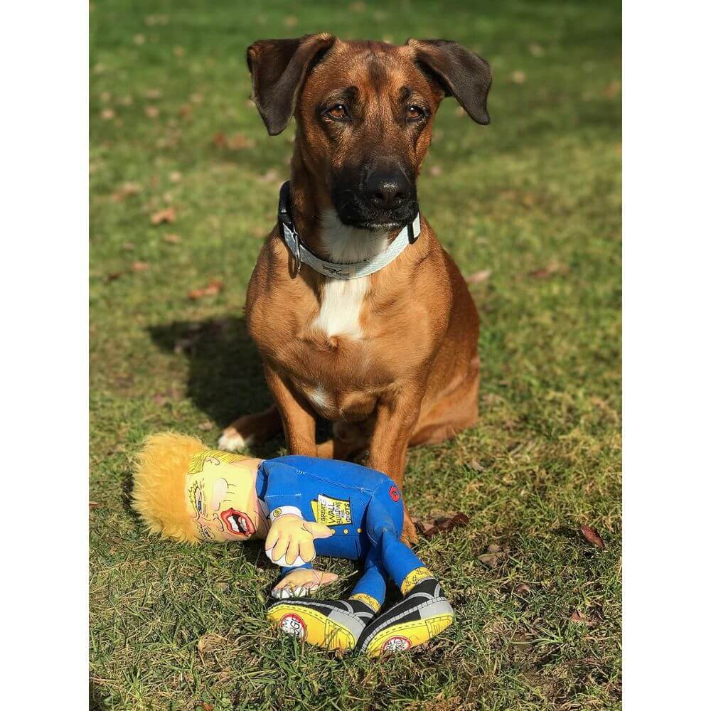 Donald Trump Dog Toy Large 17"