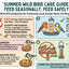 Summer wild bird care guide with tips on feeding and protecting local garden birds.
