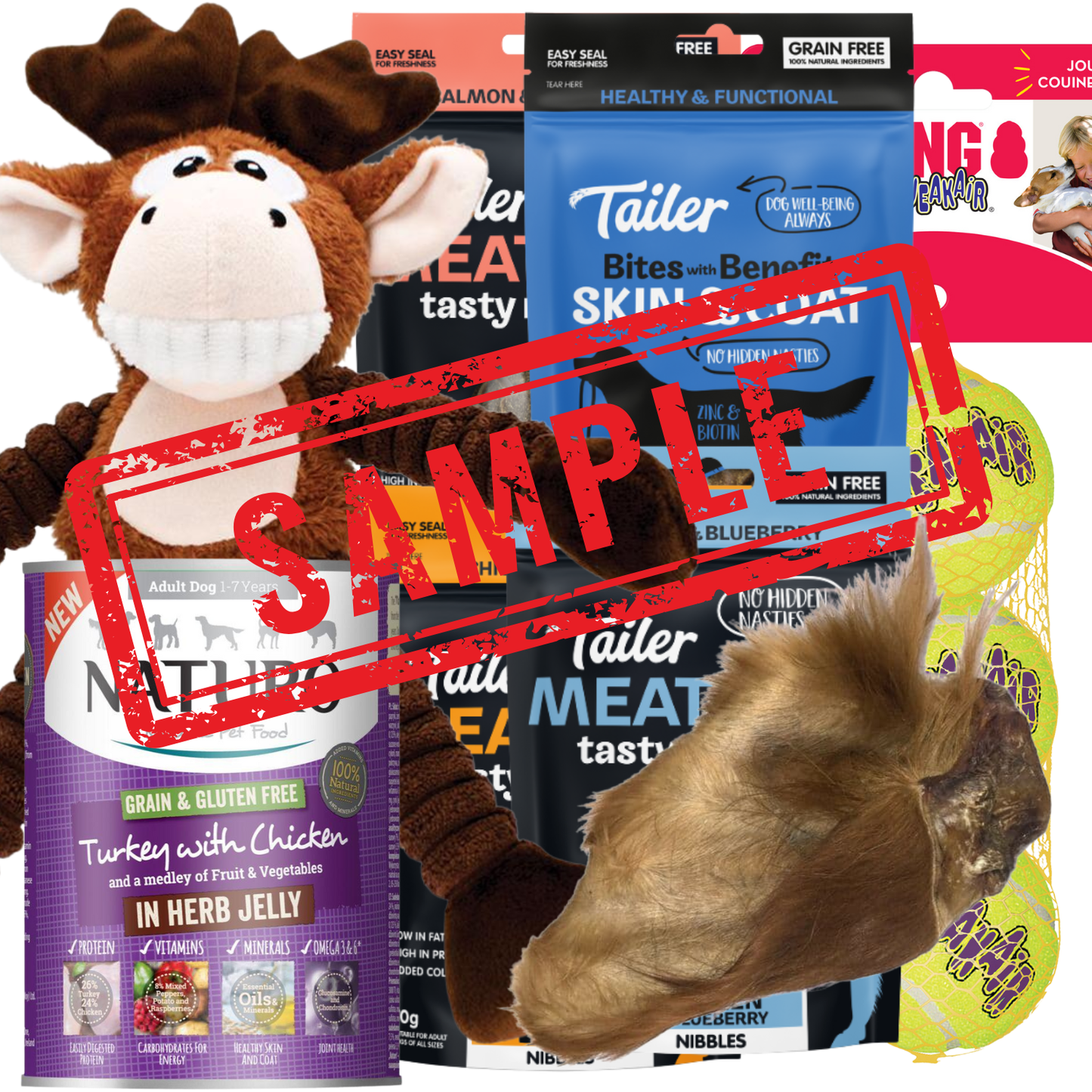 Christmas Donation Box for Dog Charity