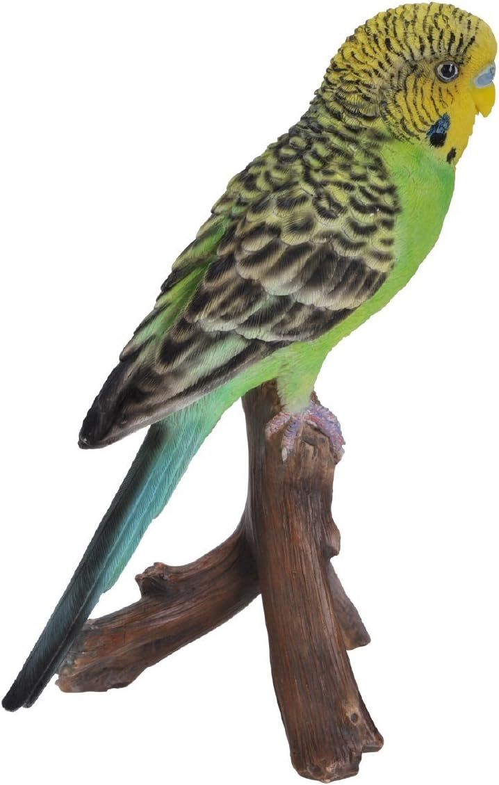 Vivid Arts Budgie Budgerigar Green