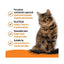 VetIQ Healthy Bites Urinary Care Cat Treats - 65g