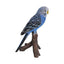 Vivid Arts | Blue Budgerigar Ornament | FrostResistant Resin | Indoor & Outdoor Ornament