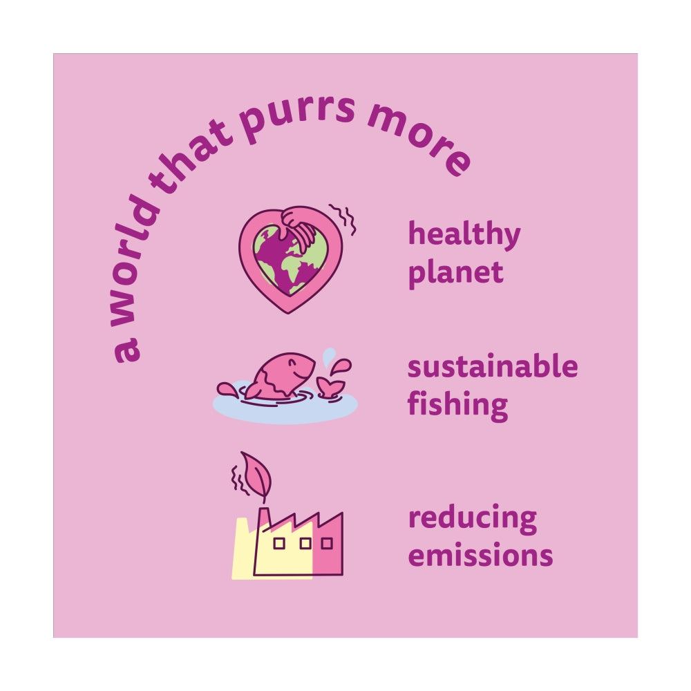 WHISKAS | Adult Wet Cat Food Pouches | Duo Surf & Turf In Jelly - 80 x 85g