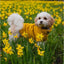 Mustard Cable Knit Dog Jumper by Ancol