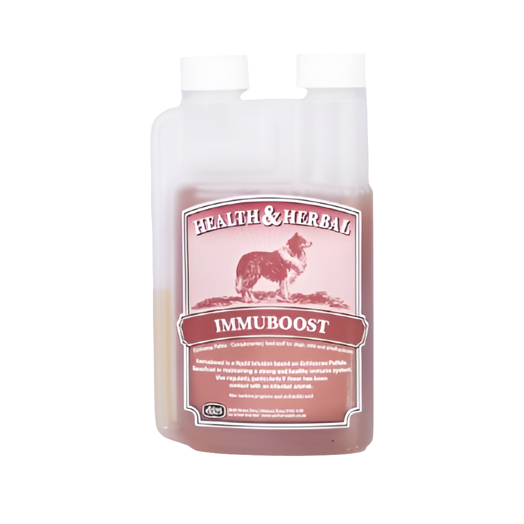 Immuboost | Liquid Echinacea Extract to Strengthen Natural Immune Defences by Animal Health Company