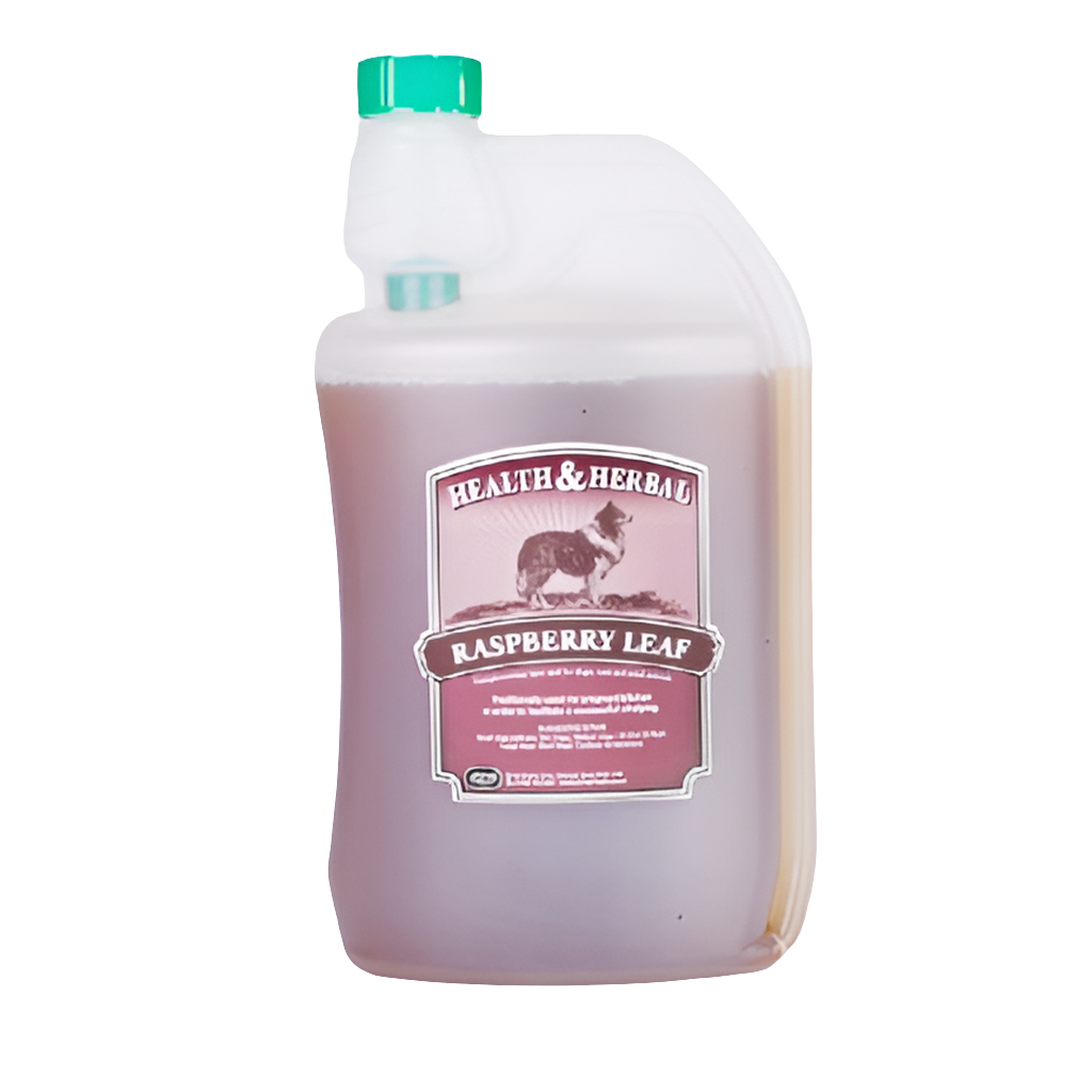 Raspberry Leaf | Hormone Supplement for Whelping & False Pregnancy by Animal Health Company