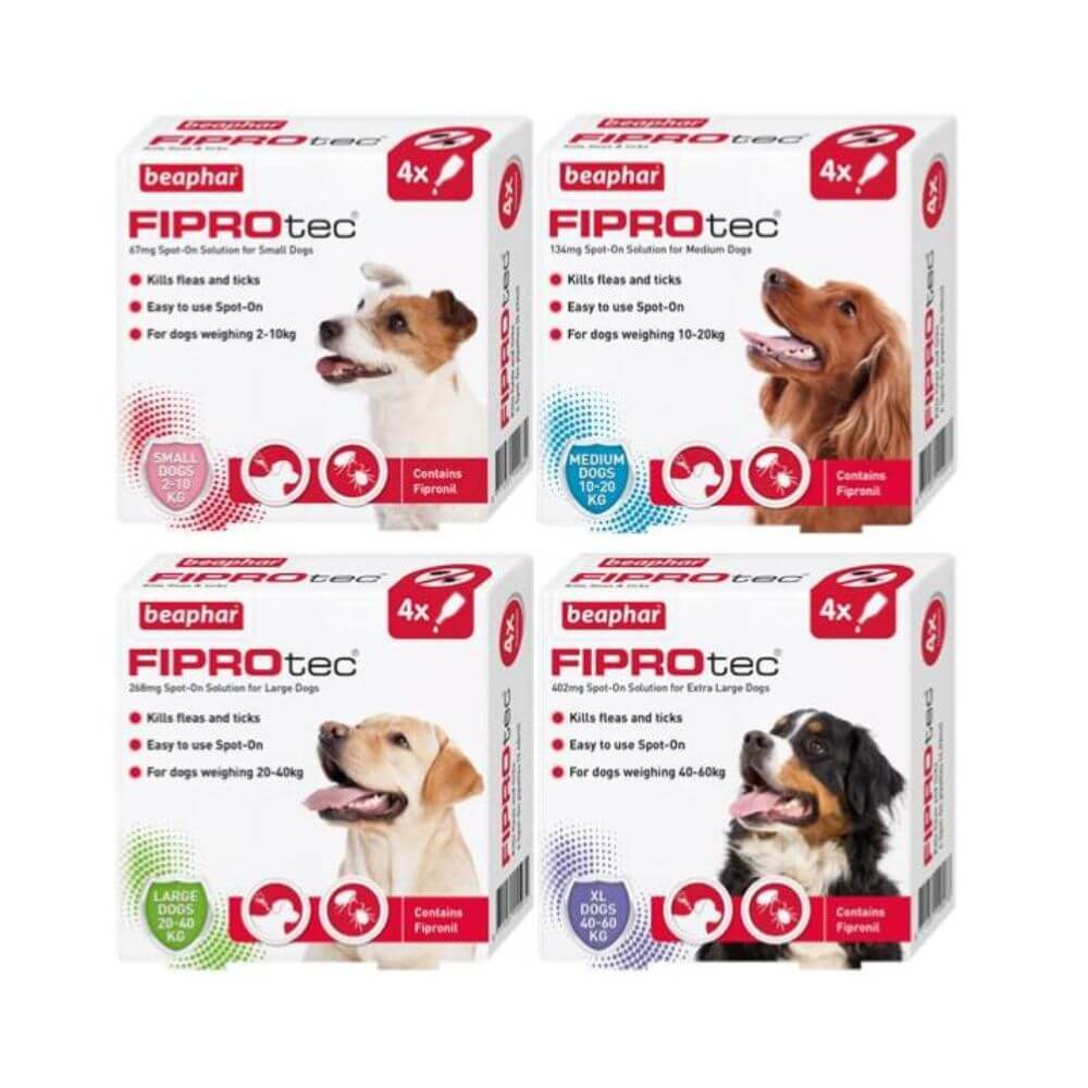 Four boxes of Beaphar Fiprotec Spot-On deworming solution for dogs, arranged in a 2x2 grid on a white background. Each box features a different dog photo and highlights a specific weight range and product variant.