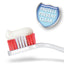 Beaphar | Dog Toothpaste | Fluoride Free Liver Flavour - 100g