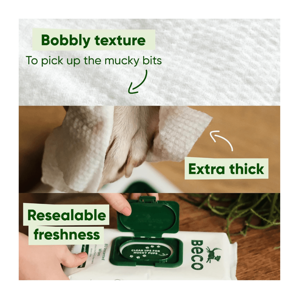 Beco Bamboo Wipes Coconut Scented 80pk