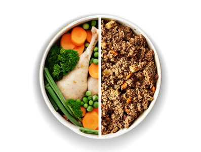 Naturo Superfoods Grain-Free Wet Dog Food Trays 395g