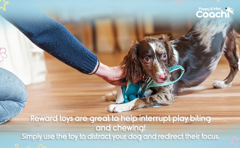 Dog being distracted by a toy on a wooden floor with text about reward toys.