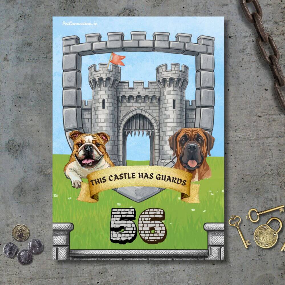 Bin Art - Perfect Housewarming Gift - Premium Bin Stickers With Personalised Number