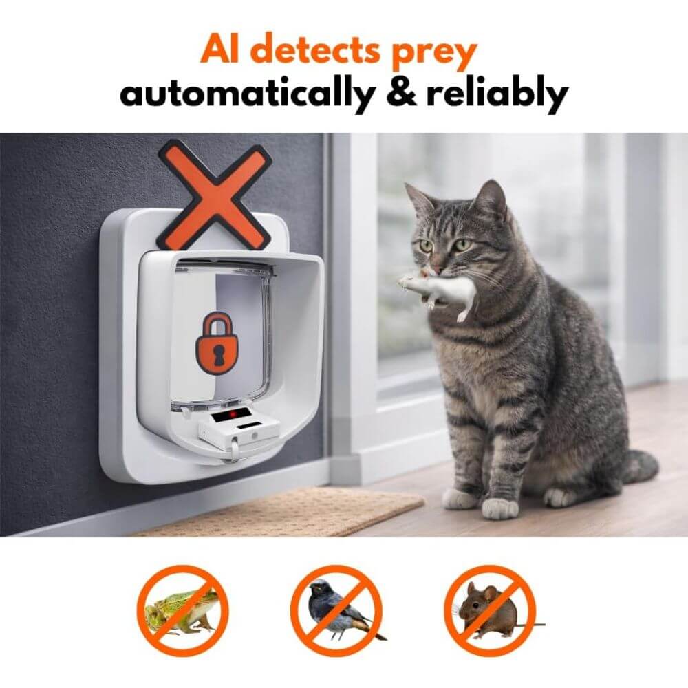 An automatic pet door mounted on a dark gray wall next to a gray tabby cat sitting on a wooden floor. The cat holds a small white mouse in its mouth, demonstrating the product's AI prey detection feature. It is an advertisement for a cat flap with ai that detects prey and prevents unwanted wildlife from entering. 