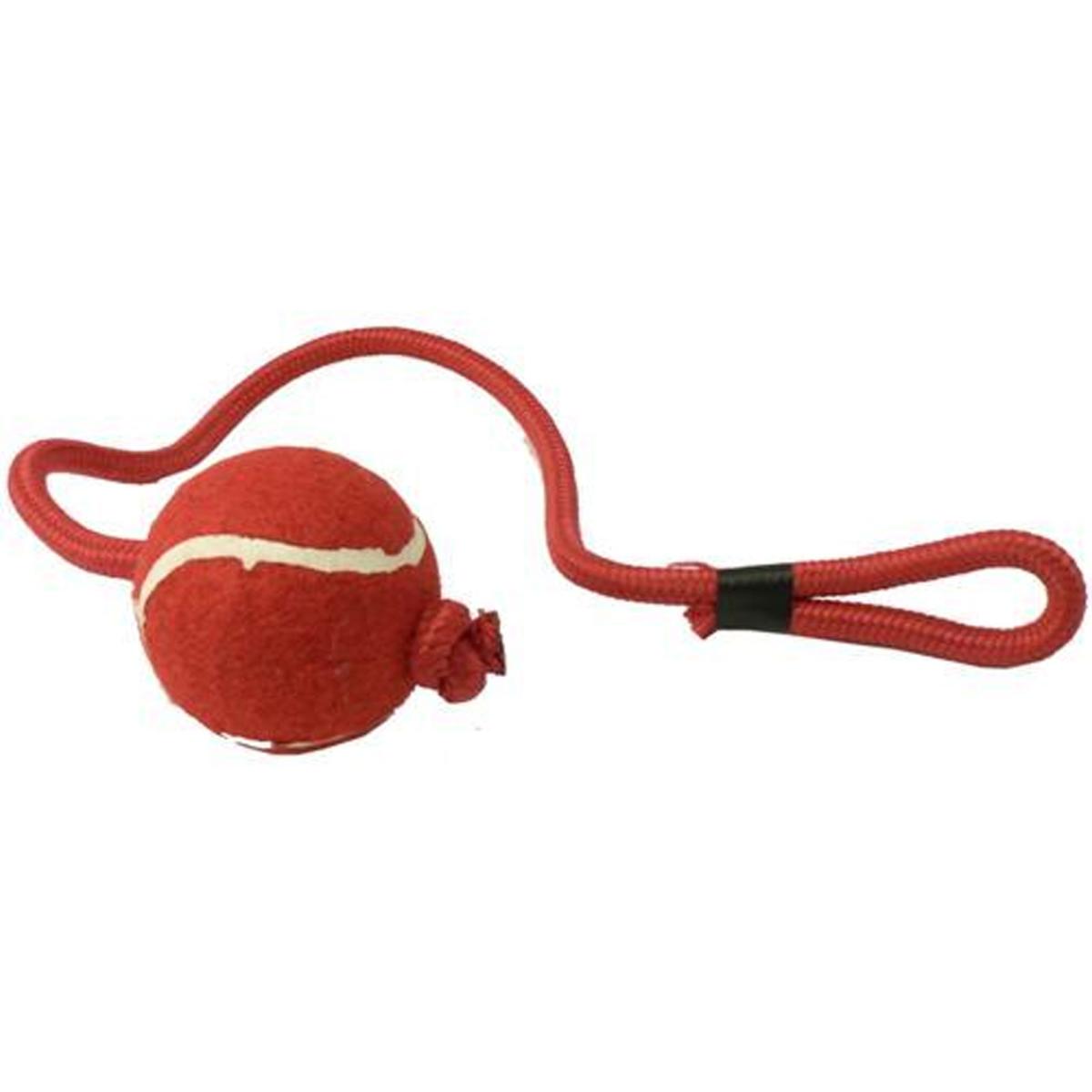 Cheeko | Tennis Ball On Rope | Dog Fetch Toy