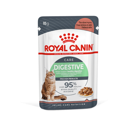 Royal Canin Digestive Care in Gravy | Wet Food for Sensitive Stomachs - 85g