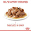 Royal Canin Digestive Care in Gravy | Wet Food for Sensitive Stomachs - 85g