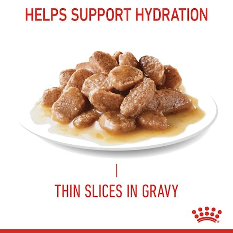 Royal Canin Digestive Care in Gravy | Wet Food for Sensitive Stomachs - 85g