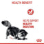 Royal Canin Digestive Care in Gravy | Wet Food for Sensitive Stomachs - 85g
