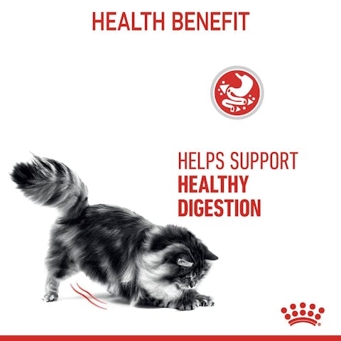 Royal Canin Digestive Care in Gravy | Wet Food for Sensitive Stomachs - 85g