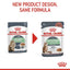 Royal Canin Digestive Care in Gravy | Wet Food for Sensitive Stomachs - 85g