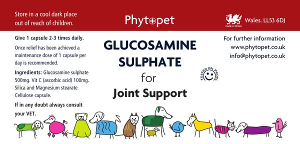 A veterinary supplement package insert for Phytopet Glucosamine Sulphate for Joint Support. The insert features a white background with a red header, black and blue text, and a row of colorful cartoon animals at the bottom.