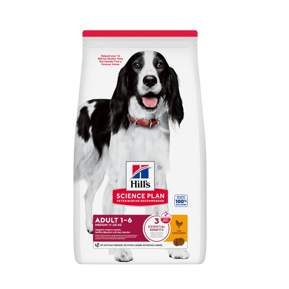 A bag of Hill's Science Plan Adult 1-6 dog food, featuring a black and white Springer Spaniel dog on the front packaging against a white background.