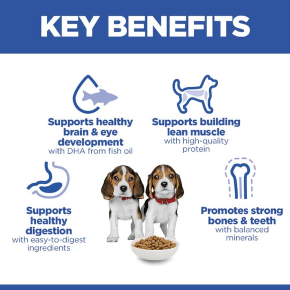 Key benefits of a dog food product with icons and text on a white background