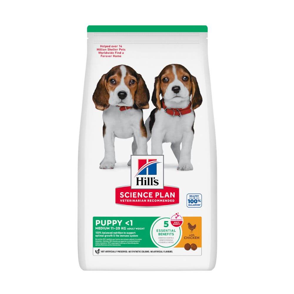A bag of Hill's Science Plan Puppy <1 dog food on a plain white background. The white bag features a green top band, a photo of two beagle puppies wearing red collars, the Hill's Science Plan logo, and a green and white nutrition panel at the bottom.