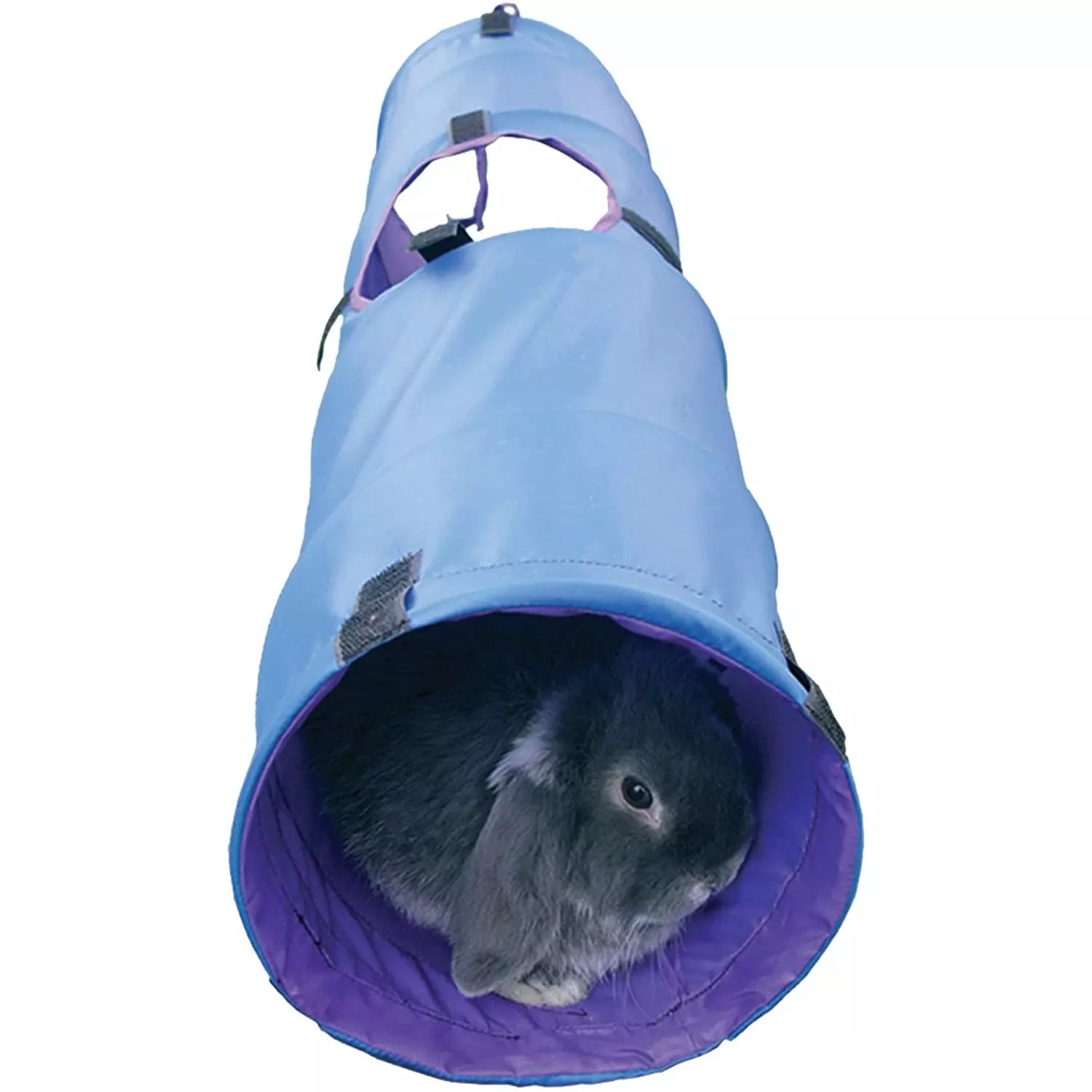 Pet tunnel with a rabbit peeking out on a white background