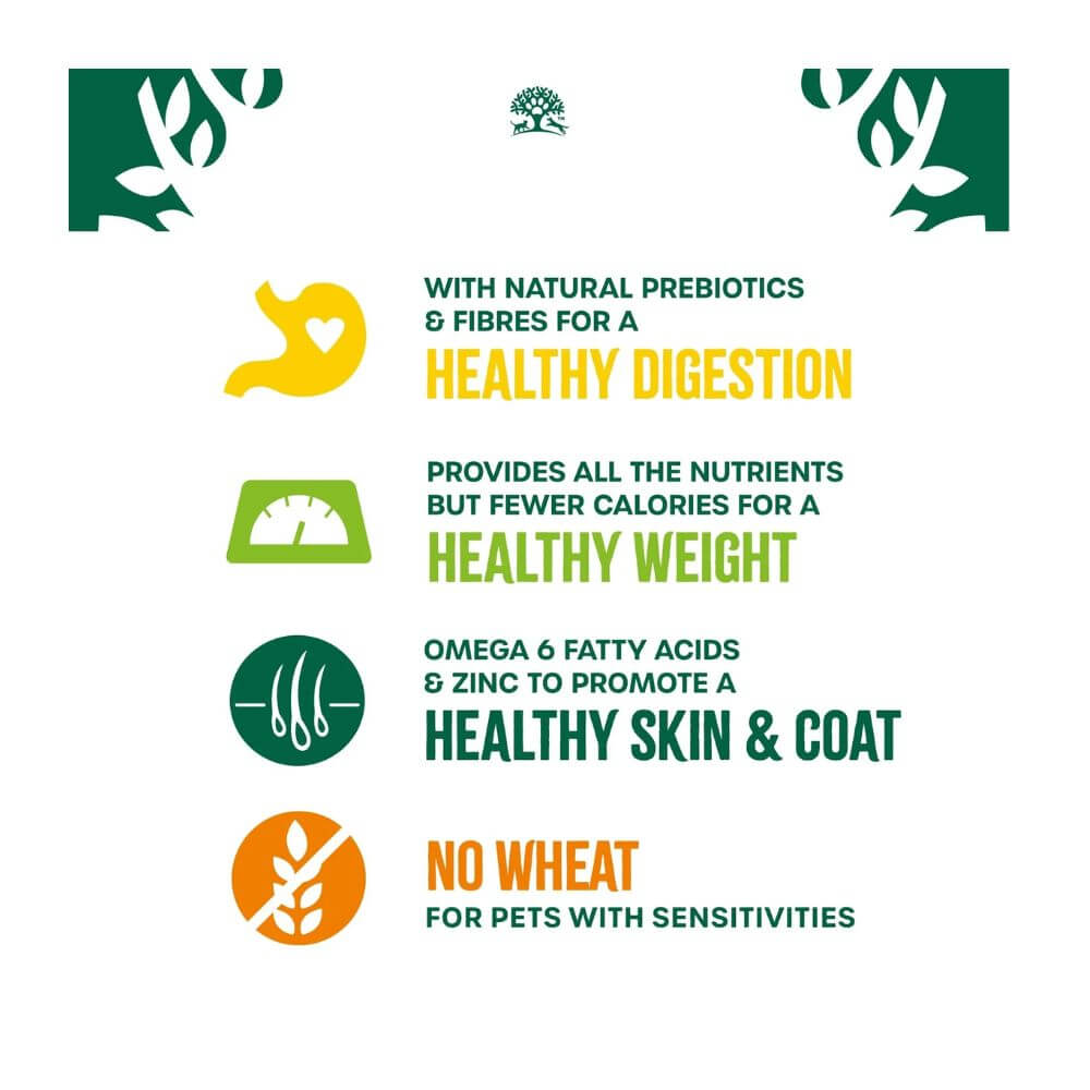 A marketing infographic for jameswellbeloved dry cat food, detailing benefits such as healthy digestion, healthy weight, healthy skin and coat, and no wheat for sensitivities, using green, yellow, and orange icons on a white background.