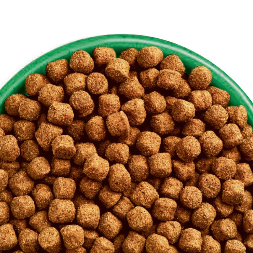 James Wellbeloved | Gluten Free Dry Dog Food | Adult Rich In Lamb & Rice