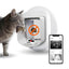 A gray tabby cat stands beside a white automatic pet gate with a mouse blocked by an orange no symbol overlay. A smartphone app screen is shown at right, displaying pet photos and events. It is an advertisement for a cat flap with ai that detects prey and prevents unwanted wildlife from entering. 