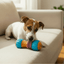 Bamboodles Giggle Dumbell- Peanut Butter