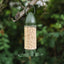 Green bird feeder filled with seeds hanging from a branch with a blurred green foliage background