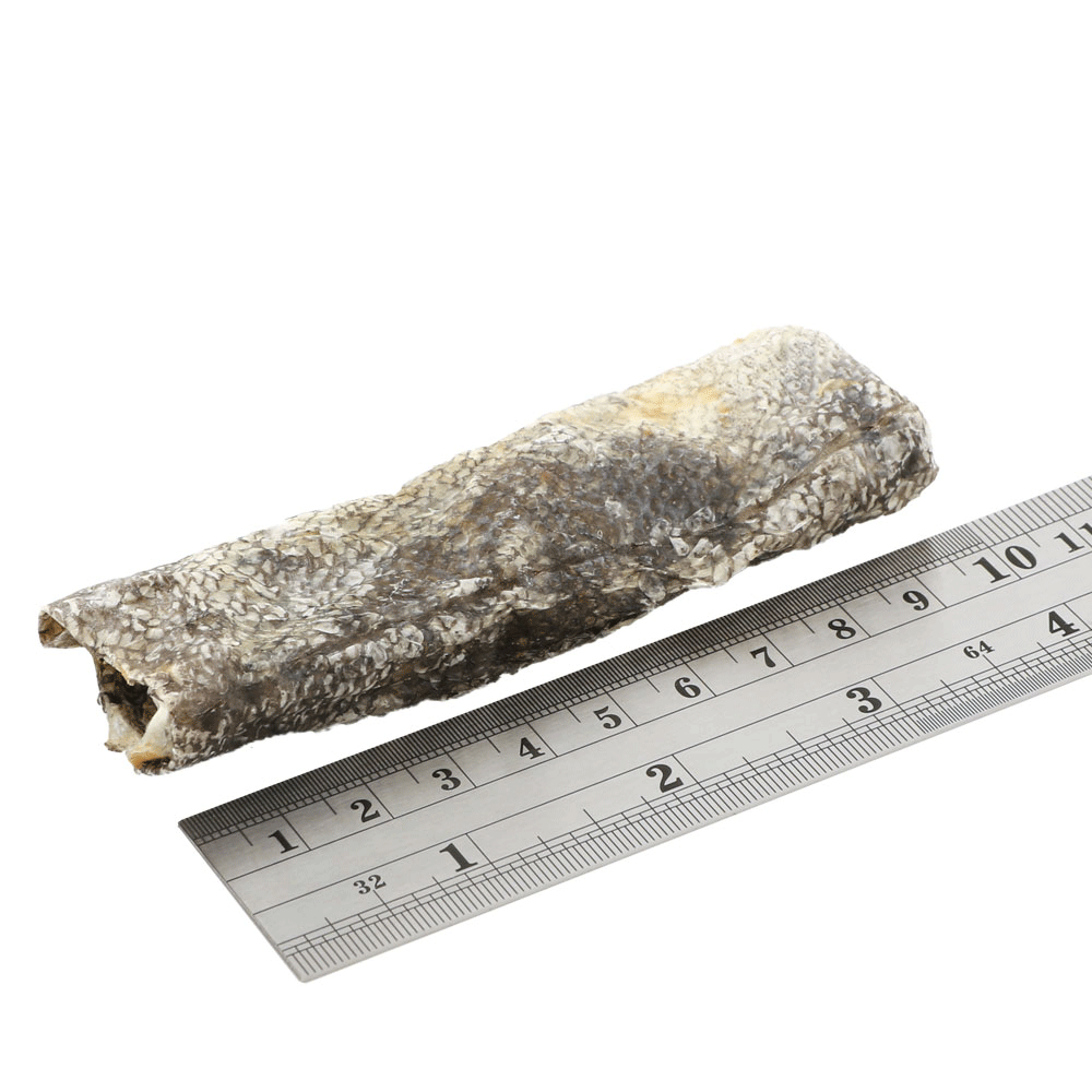 Fish4Dogs Dental Sea Jerky Fish Strips | Natural Dog Treat (100g & 500g)