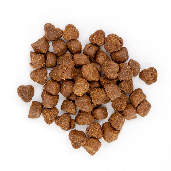 Clinivet Poultry Puppy 🐔 Hypoallergenic Dry Dog Food