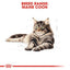 Royal Canin | Dry Cat Food | Maine Coon Adult - 2kg