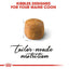 Royal Canin | Dry Cat Food | Maine Coon Adult - 2kg