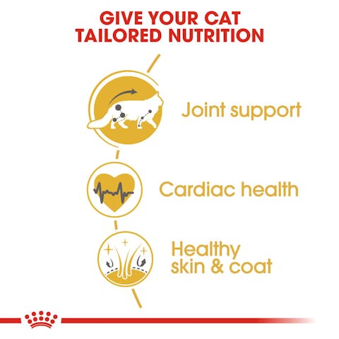 Royal Canin | Dry Cat Food | Maine Coon Adult - 2kg